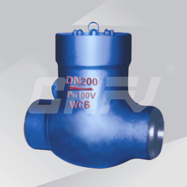 Power station check valve